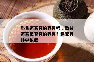 熟普洱茶真的养胃吗，熟普洱茶是不是真的养胃？探究其科学依据