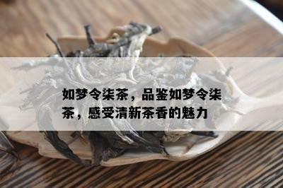 如梦令柒茶，品鉴如梦令柒茶，感受清新茶香的魅力