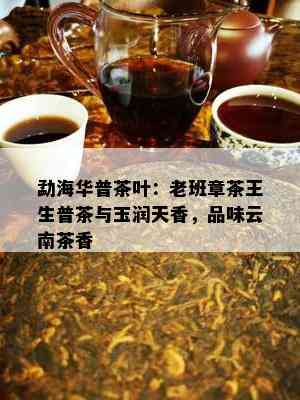 勐海华普茶叶：老班章茶王生普茶与玉润天香，品味云南茶香