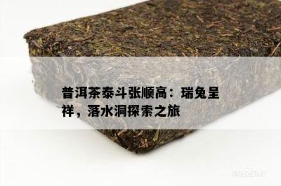 普洱茶泰斗张顺高：瑞兔呈祥，落水洞探索之旅