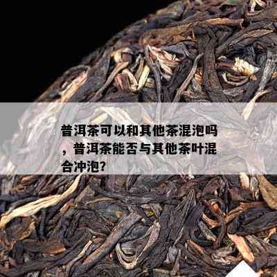 普洱茶可以和其他茶混泡吗，普洱茶能否与其他茶叶混合冲泡？