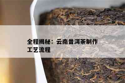 全程揭秘：云南普洱茶制作工艺流程