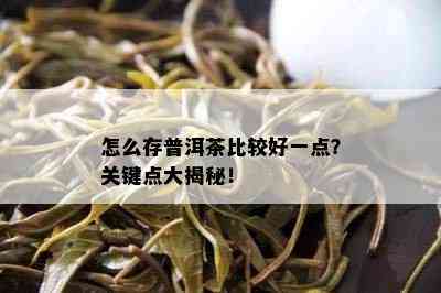 怎么存普洱茶比较好一点？关键点大揭秘！