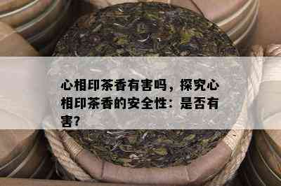 心相印茶香有害吗，探究心相印茶香的安全性：是不是有害？