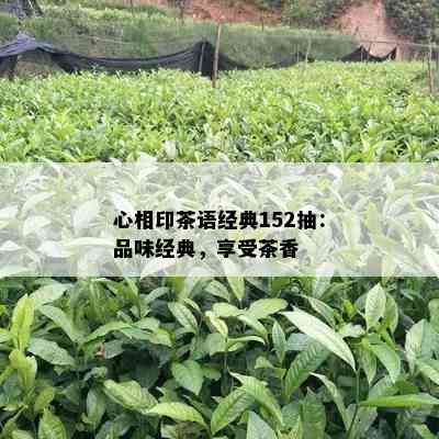 心相印茶语经典152抽：品味经典，享受茶香