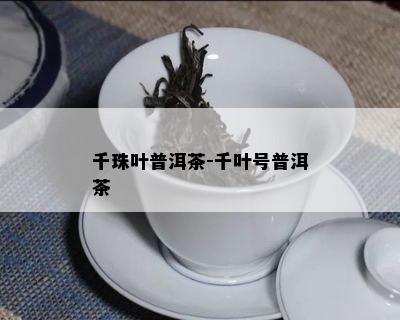 千珠叶普洱茶-千叶号普洱茶