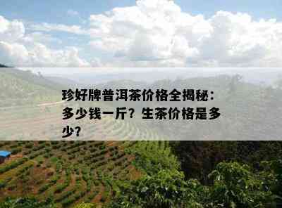 珍好牌普洱茶价格全揭秘：多少钱一斤？生茶价格是多少？