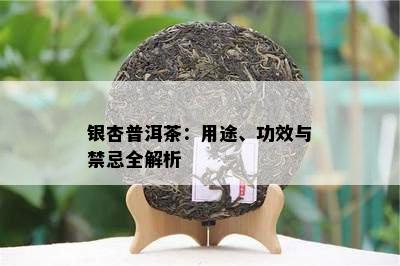 银杏普洱茶：用途、功效与禁忌全解析