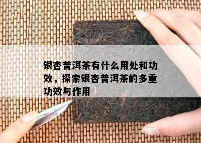 银杏普洱茶有什么用处和功效，探索银杏普洱茶的多重功效与作用