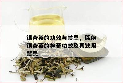 银杏茶的功效与禁忌，探秘银杏茶的神奇功效及其饮用禁忌