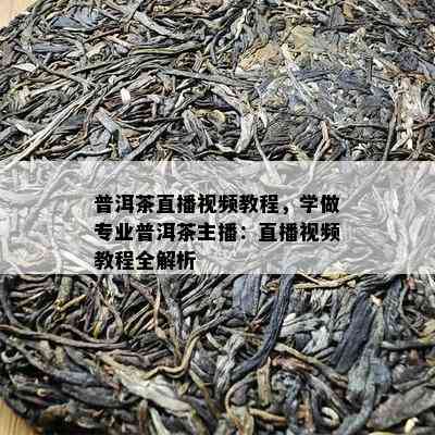 普洱茶直播视频教程，学做专业普洱茶主播：直播视频教程全解析