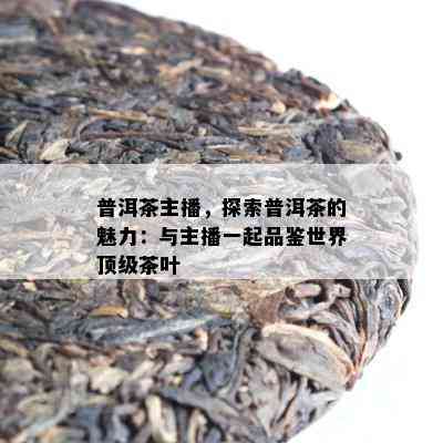 普洱茶主播，探索普洱茶的魅力：与主播一起品鉴世界顶级茶叶