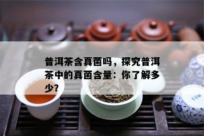 普洱茶含真菌吗，探究普洱茶中的真菌含量：你了解多少？