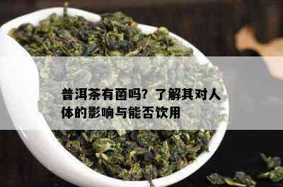 普洱茶有菌吗？熟悉其对人体的作用与能否饮用