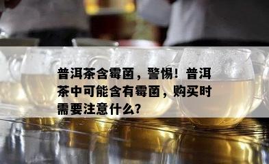 普洱茶含霉菌，警惕！普洱茶中可能含有霉菌，购买时需要留意什么？