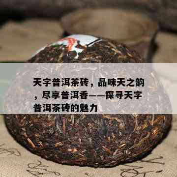 天字普洱茶砖，品味天之韵，尽享普洱香——探寻天字普洱茶砖的魅力