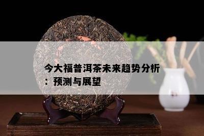 今大福普洱茶未来趋势分析：预测与展望