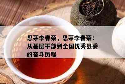 思茅李春荣，思茅李春荣：从基层干部到全国优秀县委的奋斗历程