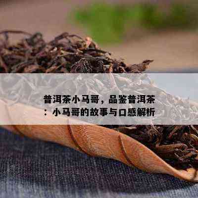 普洱茶小马哥，品鉴普洱茶：小马哥的故事与口感解析