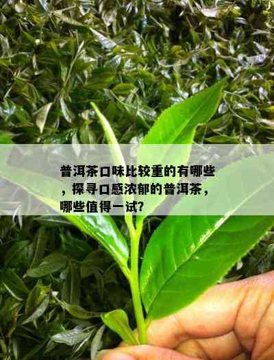 普洱茶口味比较重的有哪些，探寻口感浓郁的普洱茶，哪些值得一试？