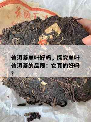 普洱茶单叶好吗，探究单叶普洱茶的品质：它真的好吗？