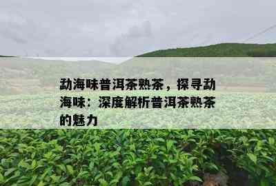 勐海味普洱茶熟茶，探寻勐海味：深度解析普洱茶熟茶的魅力