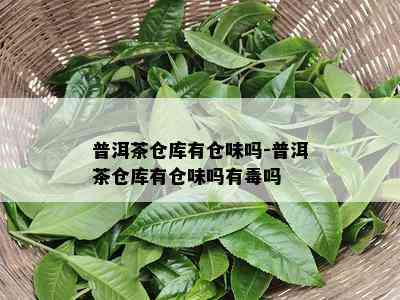 普洱茶仓库有仓味吗-普洱茶仓库有仓味吗有吗