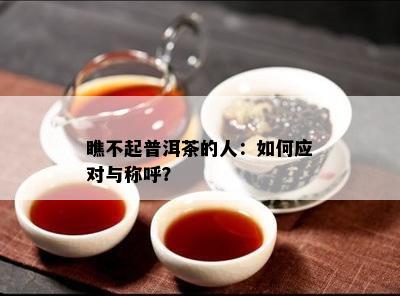 瞧不起普洱茶的人：怎样应对与称呼？