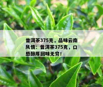 普洱茶375克，品味云南风情：普洱茶375克，口感醇厚回味无穷！