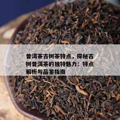 普洱茶古树茶特点，探秘古树普洱茶的特别魅力：特点解析与品鉴指南