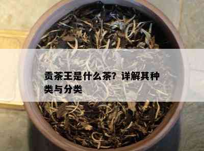 贡茶王是什么茶？详解其种类与分类