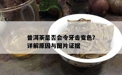 普洱茶是不是会令牙齿变色？详解起因与图片证据