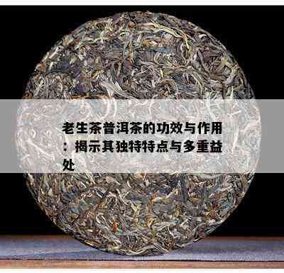 老生茶普洱茶的功效与作用：揭示其特别特点与多重益处