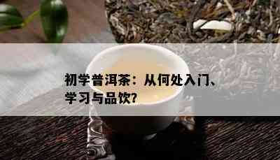 初学普洱茶：从何处入门、学习与品饮？