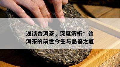 浅谈普洱茶，深度解析：普洱茶的前世今生与品鉴之道