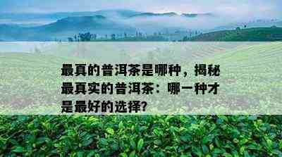 最真的普洱茶是哪种，揭秘最真实的普洱茶：哪一种才是更好的选择？