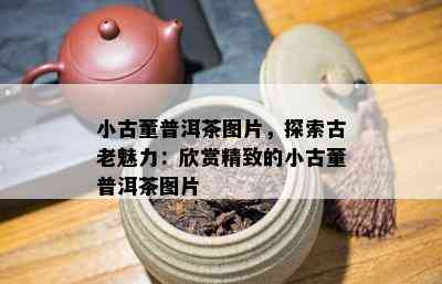 小古董普洱茶图片，探索古老魅力：欣赏精致的小古董普洱茶图片