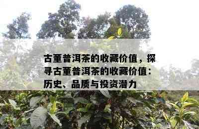 古董普洱茶的收藏价值，探寻古董普洱茶的收藏价值：历史、品质与投资潜力