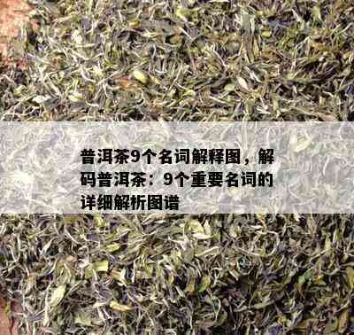 普洱茶9个名词解释图，解码普洱茶：9个关键名词的详细解析图谱