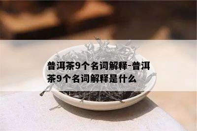 普洱茶9个名词解释-普洱茶9个名词解释是什么