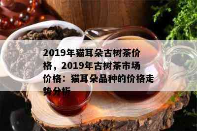 2019年猫耳朵古树茶价格，2019年古树茶市场价格：猫耳朵品种的价格走势分析