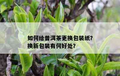 如何给普洱茶更换包装纸？换新包装有何好处？