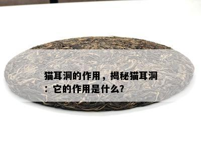 猫耳洞的作用，揭秘猫耳洞：它的作用是什么？