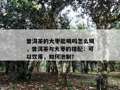 普洱茶的大枣能喝吗怎么喝，普洱茶与大枣的搭配：可以饮用，如何泡制？