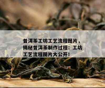 普洱茶工坊工艺流程图片，揭秘普洱茶制作过程：工坊工艺流程图片大公开！