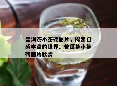 普洱茶小茶砖图片，探索口感丰富的世界：普洱茶小茶砖图片欣赏