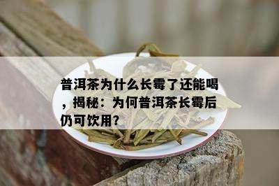 普洱茶为什么长霉了还能喝，揭秘：为何普洱茶长霉后仍可饮用？