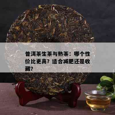 普洱茶生茶与熟茶：哪个性价比更高？适合减肥还是收藏？