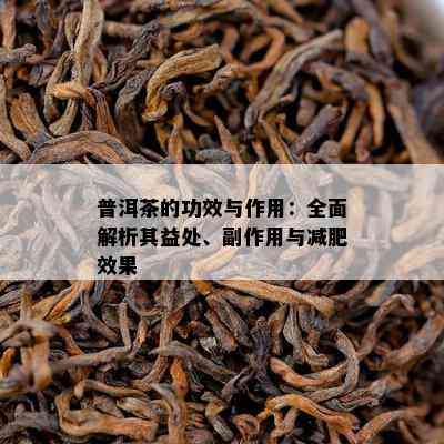 普洱茶的功效与作用：全面解析其益处、副作用与减肥效果