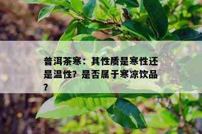 普洱茶寒：其性质是寒性还是温性？是不是属于寒凉饮品？